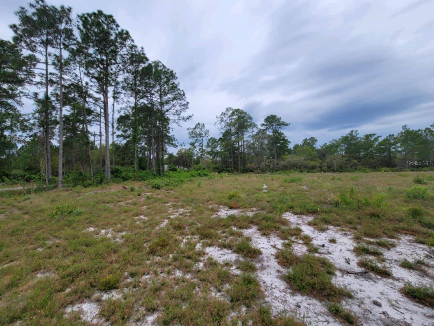 Ocklawaha, FL 32179,SE FISHER RD