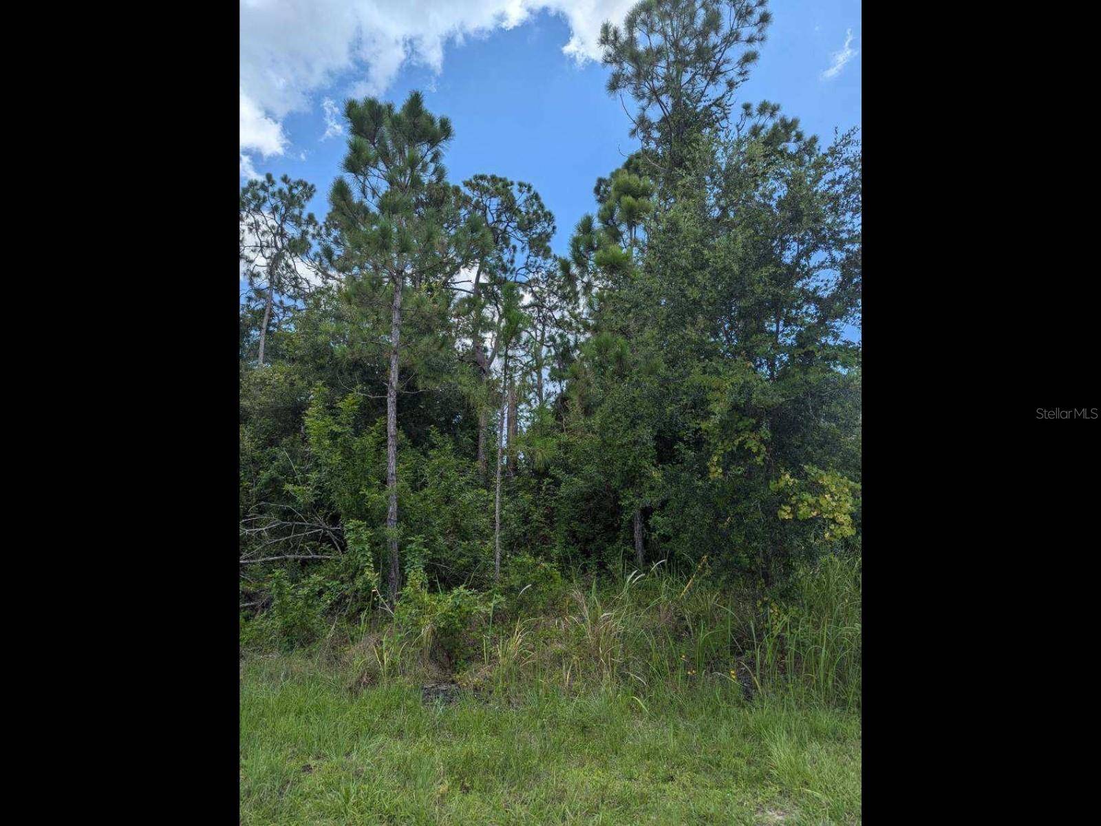 North Port, FL 34288,DELLBROOK AVE