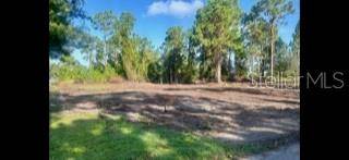 Lehigh Acres, FL 33974,1042 MARATHON AVE