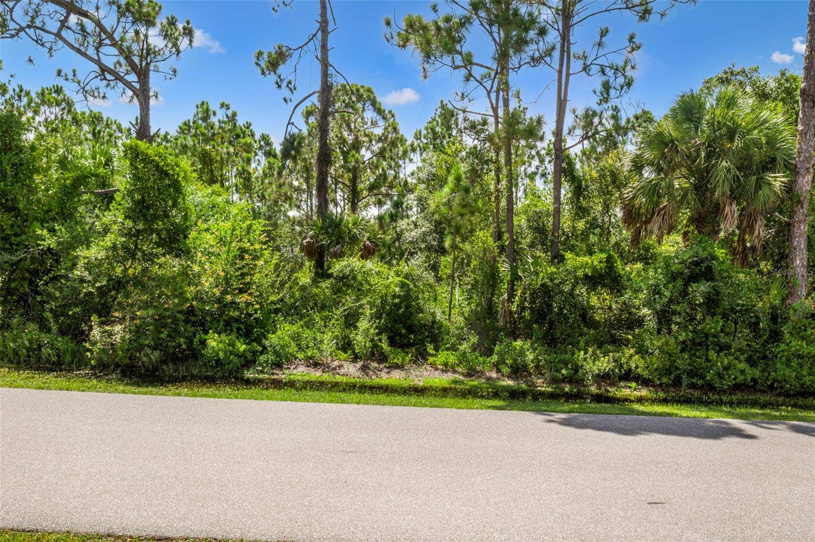 Punta Gorda, FL 33980,3372 DOUGLAS RD