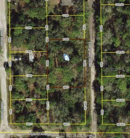 New Port Richey, FL 34654,Lot 25-28 EVERGREEN ST