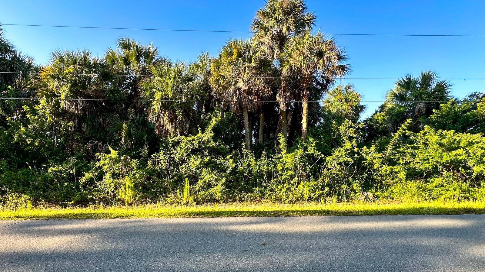 North Port, FL 34286,Lot 41 YACOLT AVE