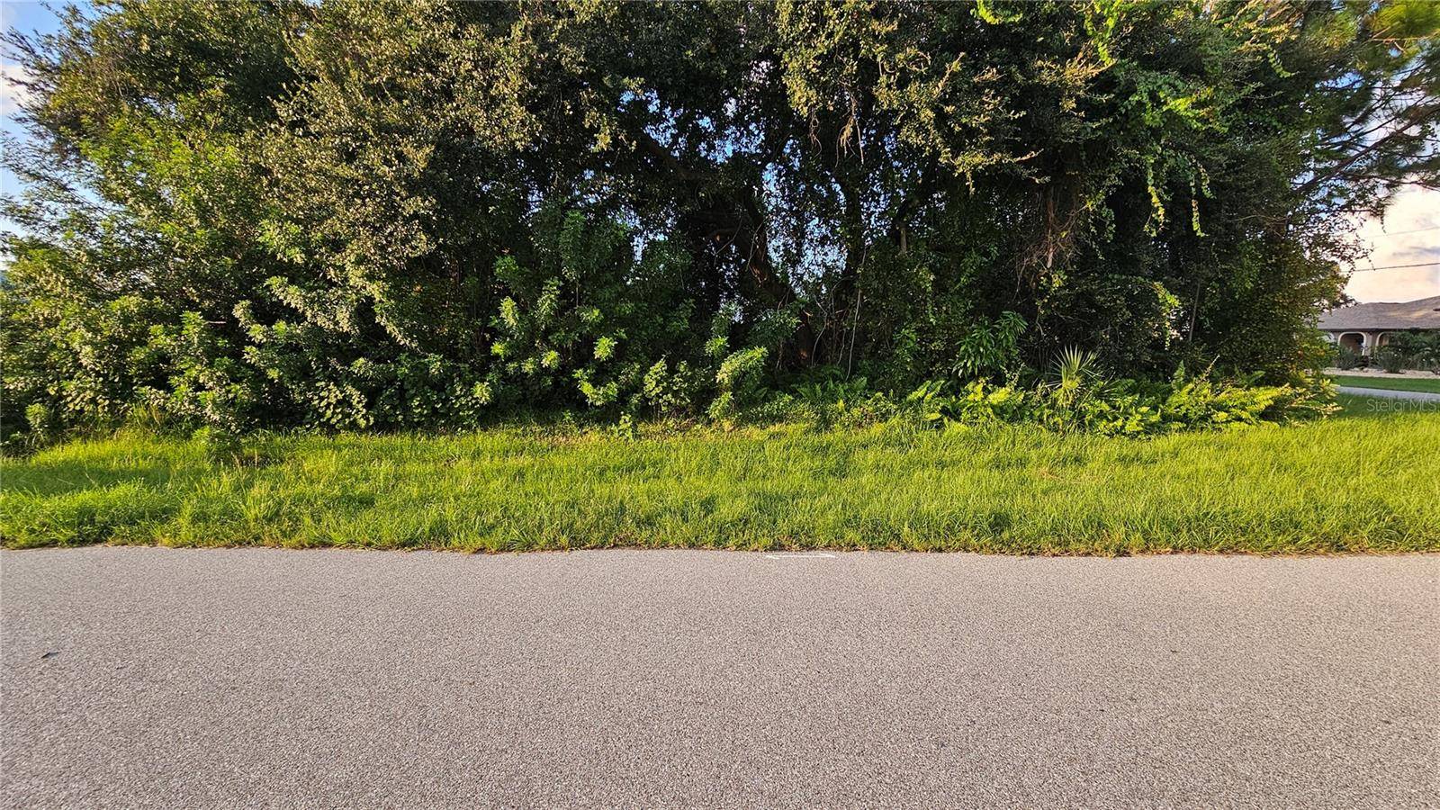 Punta Gorda, FL 33983,133 VALDIVA ST