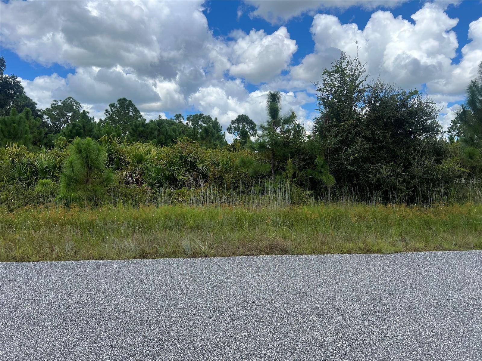 North Port, FL 34291,lot 8 PAGADO LN