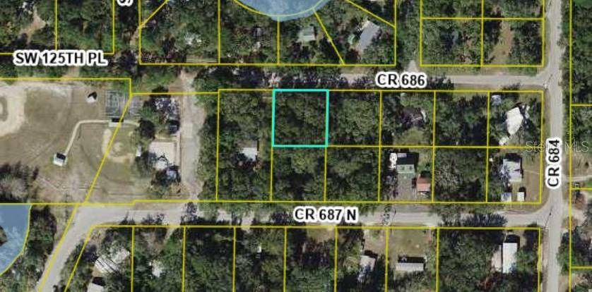 Webster, FL 33597,Lot #5 CR 687 N