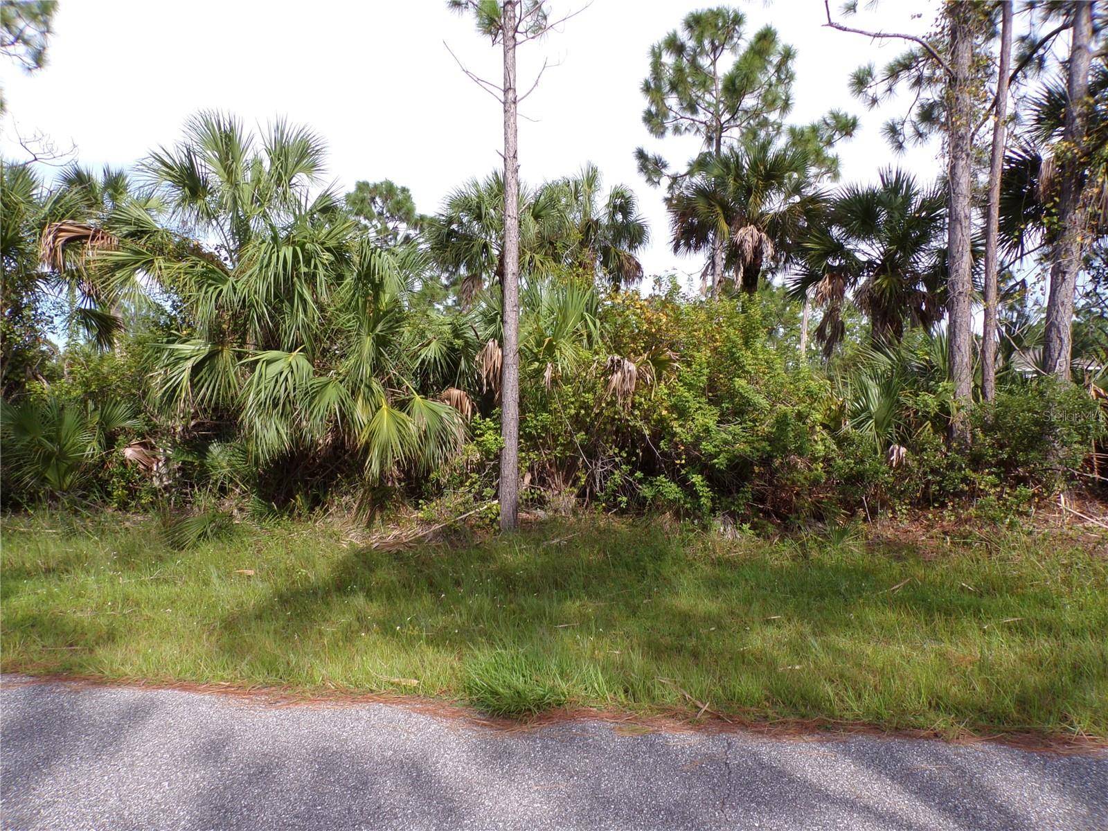 Port Charlotte, FL 33981,3206 CALLISTO ST