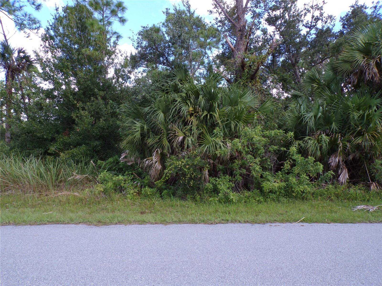 Port Charlotte, FL 33953,1569 ADALIA TER