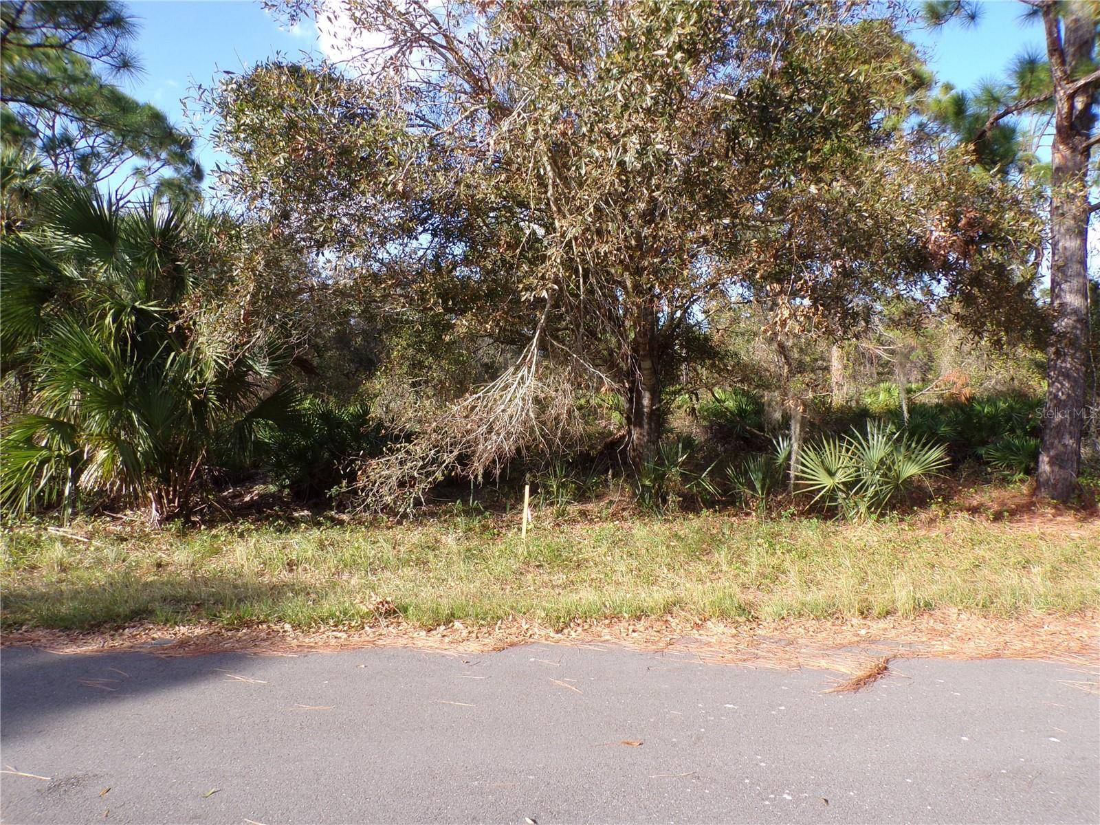 Port Charlotte, FL 33948,18174 QUINCY AVE