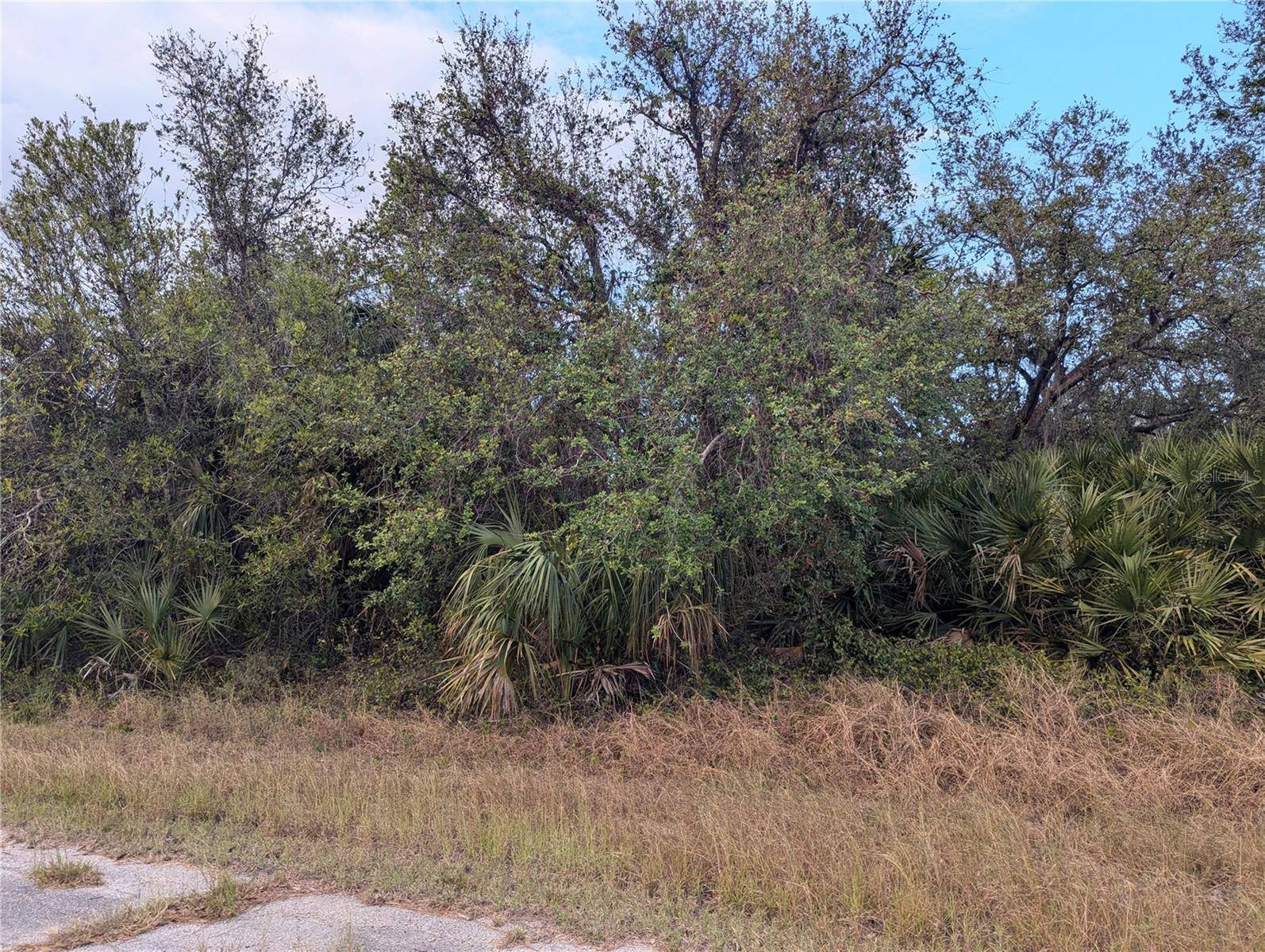 North Port, FL 34288,Lot 13 MATTOX CIR