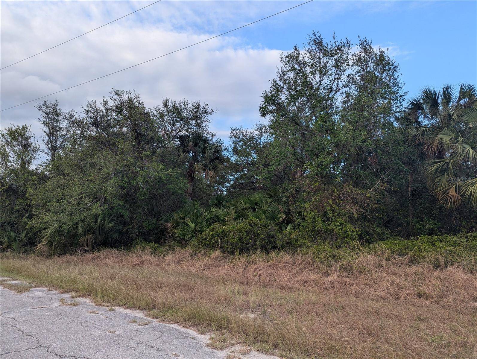 North Port, FL 34288,Lot 13 MATTOX CIR