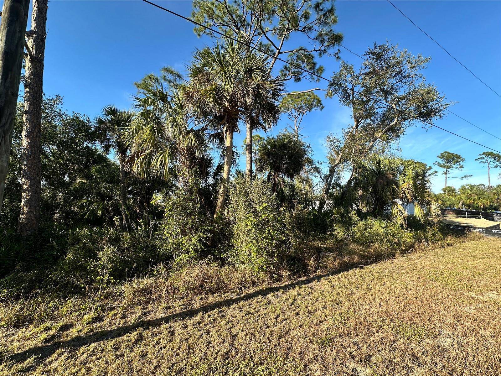 North Port, FL 34288,LOT 49 KILLDEER TER