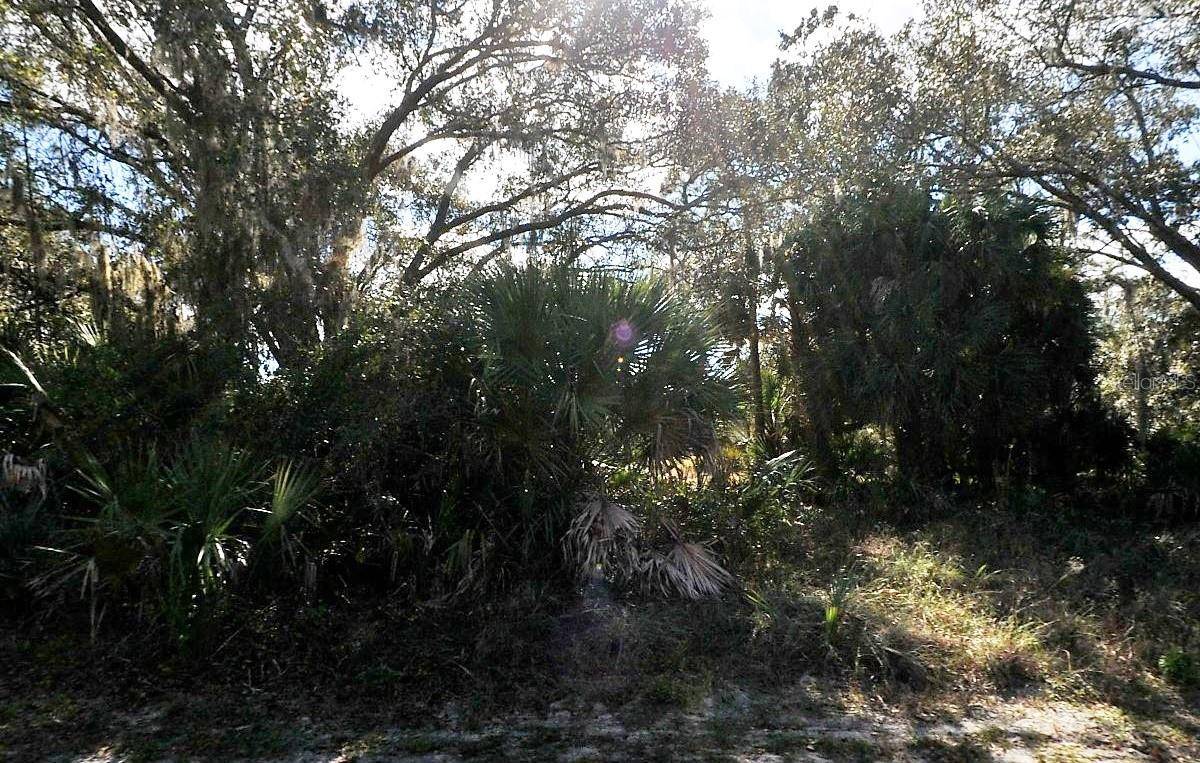 North Port, FL 34288,ADOLPH LOTS 10 & 11 AVE