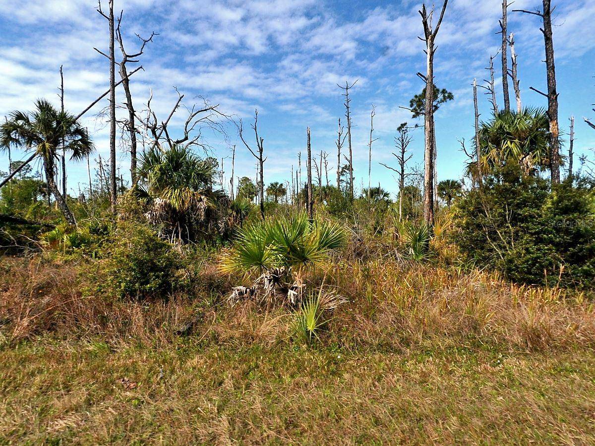 North Port, FL 34288,Lot 16 FIREGLOW CIR