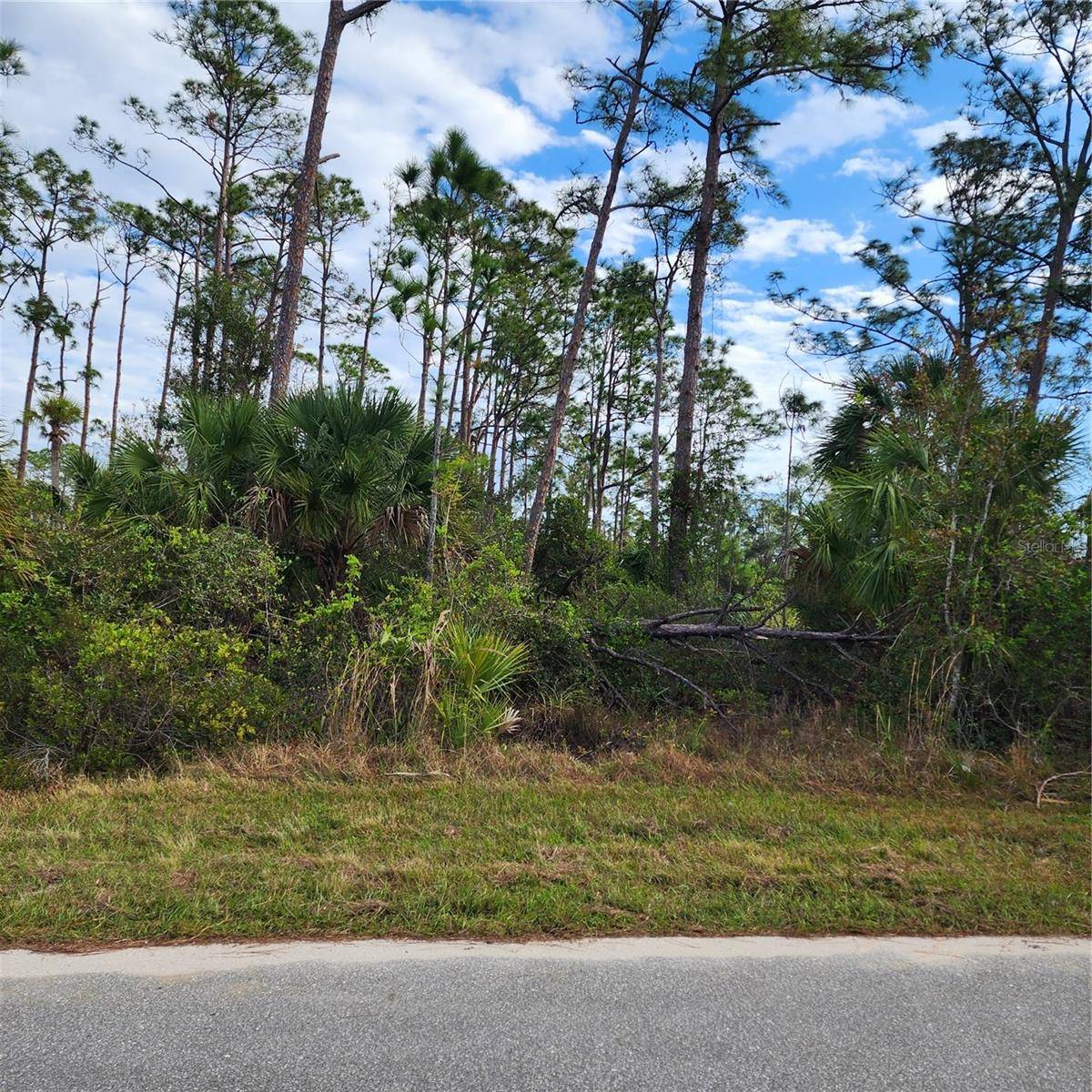 Port Charlotte, FL 33953,15130 CAROUSEL LN