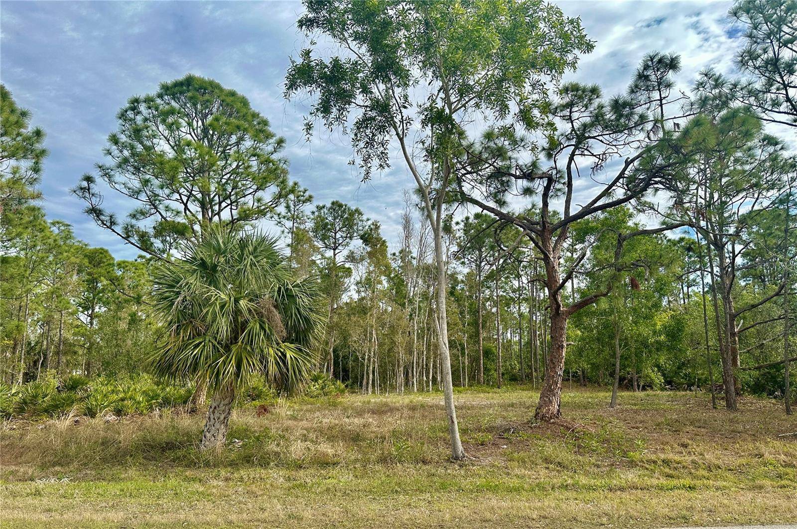 Punta Gorda, FL 33955,12276 PARAMOUNT DR