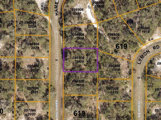 North Port, FL 34291,Lot 9 HAMMER TER