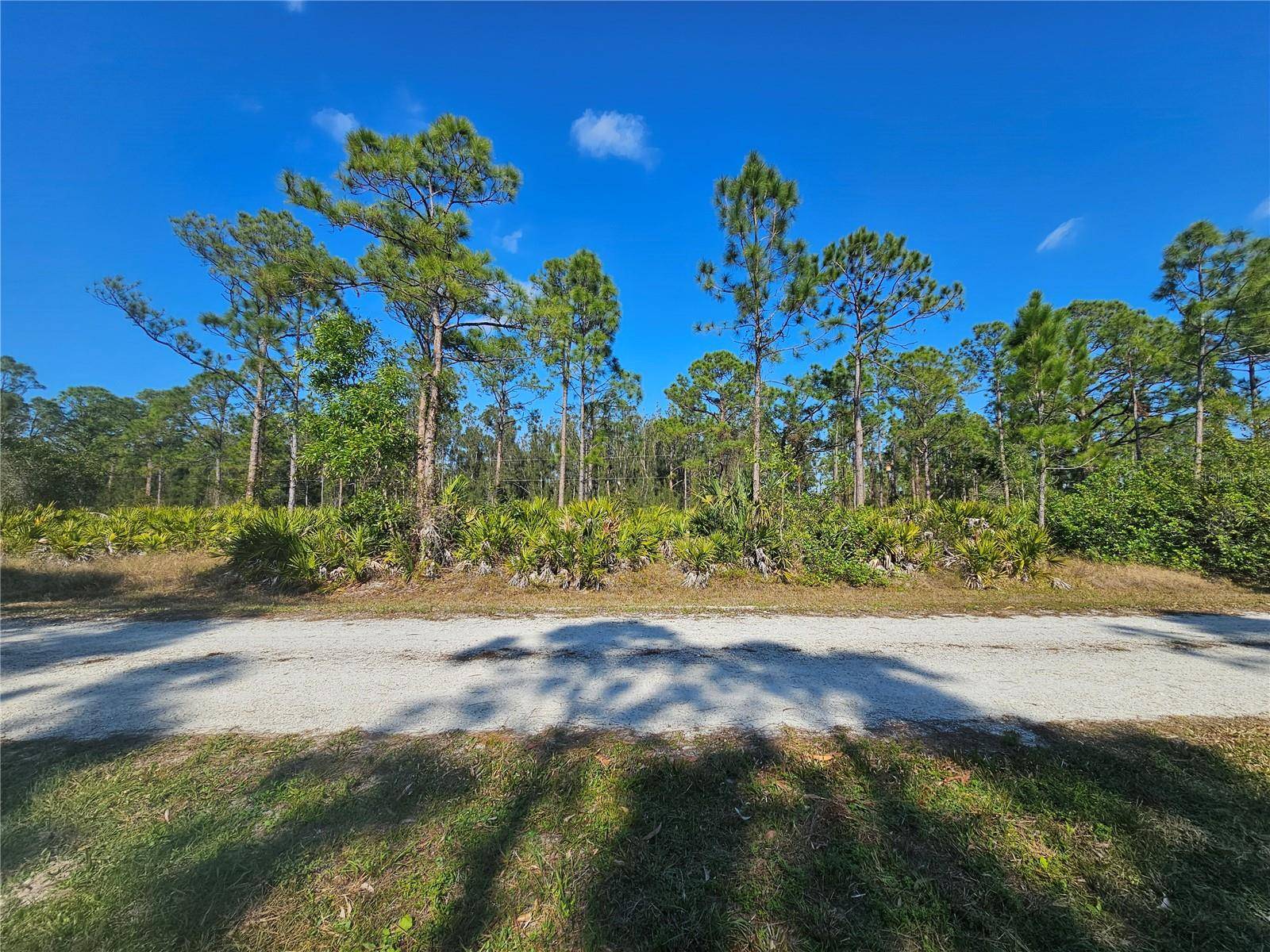 Punta Gorda, FL 33955,27342 BALBOA DR