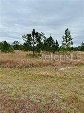 Lehigh Acres, FL 33974,HALLMARK AVE