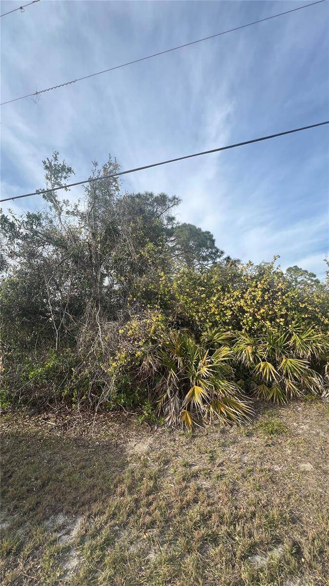 Rotonda West, FL 33947,128 ALBATROSS RD