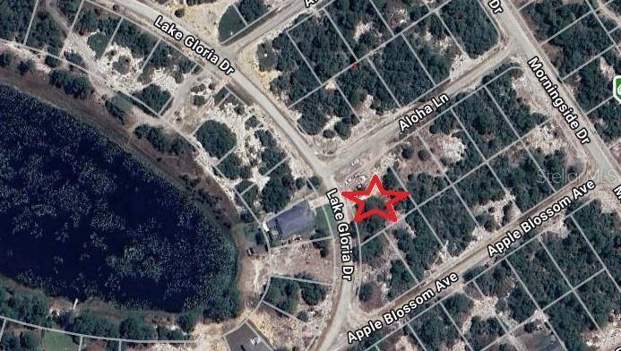 Lake Placid, FL 33852,451 ALOHA LN