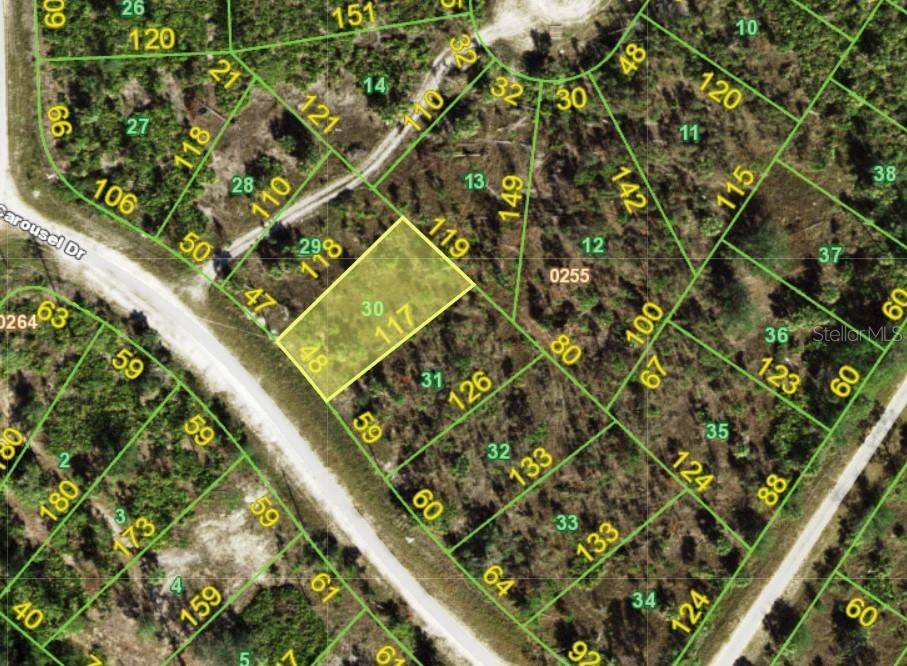 Punta Gorda, FL 33955,13524 CAROUSEL DR