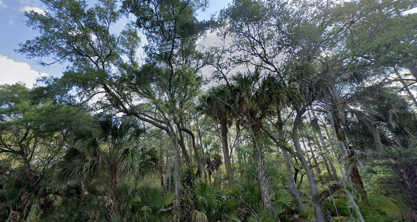 Port Charlotte, FL 33953,1210 LOTUS ST