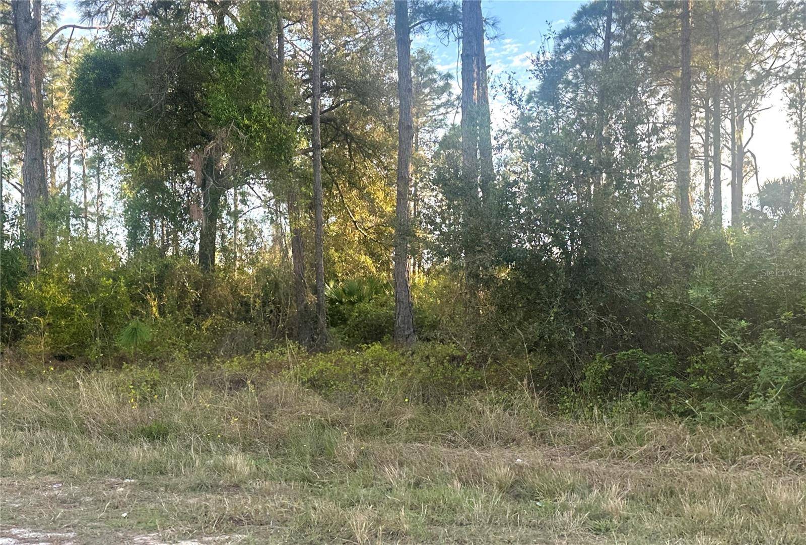 Lehigh Acres, FL 33973,754 MEADOW RD