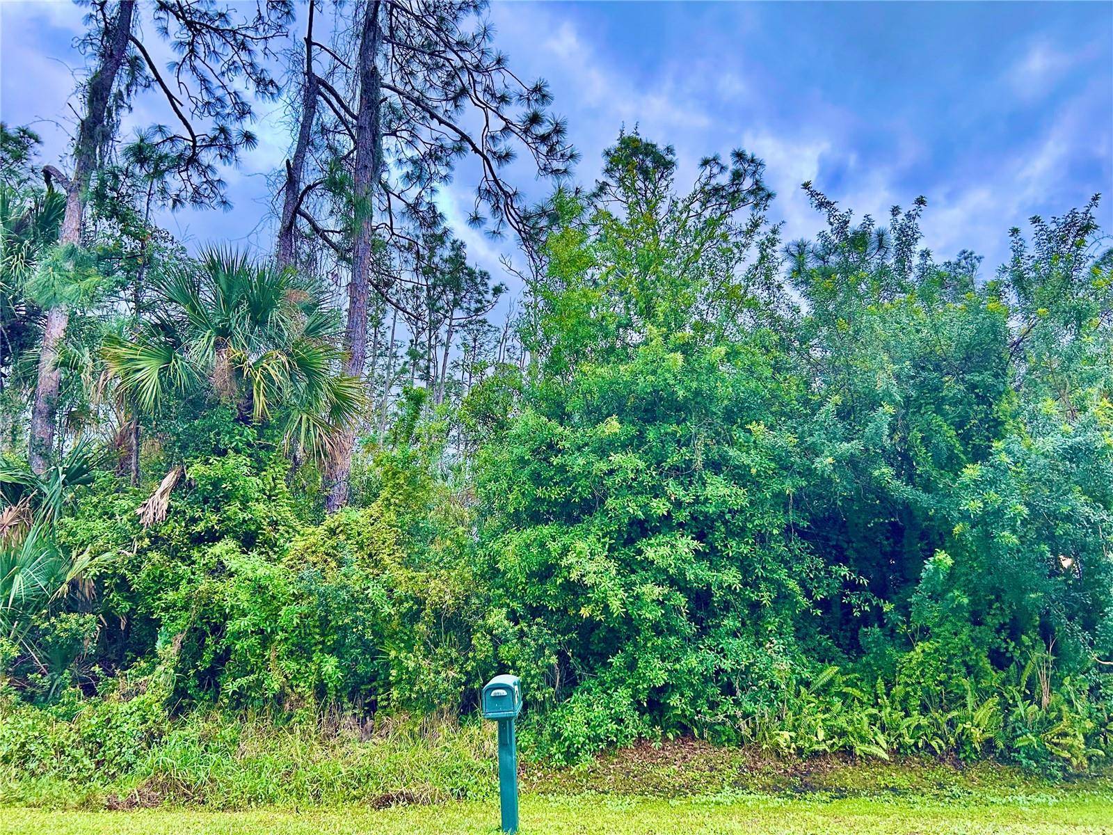 North Port, FL 34286,MADAGASCAR AVE
