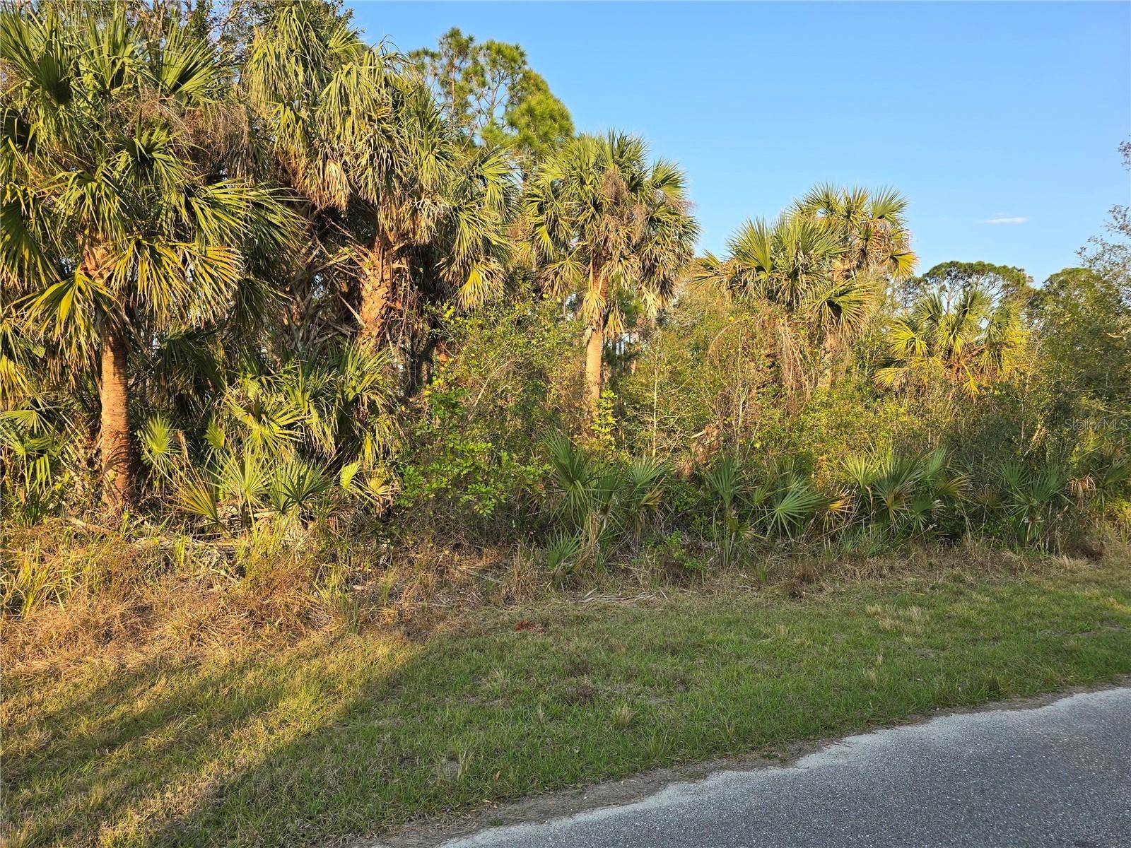 Port Charlotte, FL 33953,348 RAMBLEWOOD ST