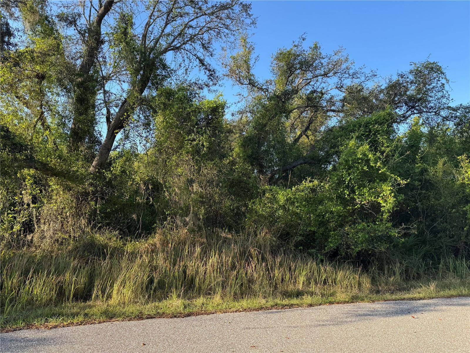 Arcadia, FL 34266,1799 NE VOSS OAKS CIR