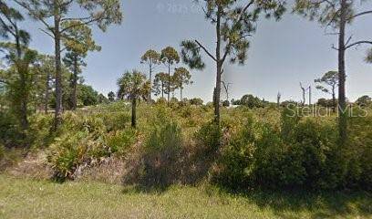 Port Charlotte, FL 33953,Address not disclosed