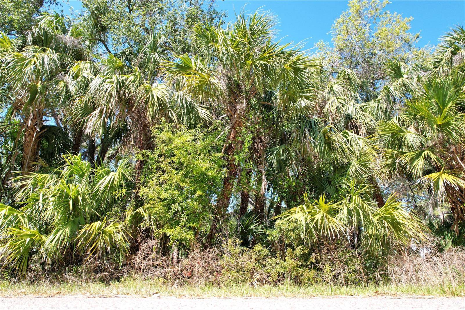 North Port, FL 34287,WALMSLEY AVE