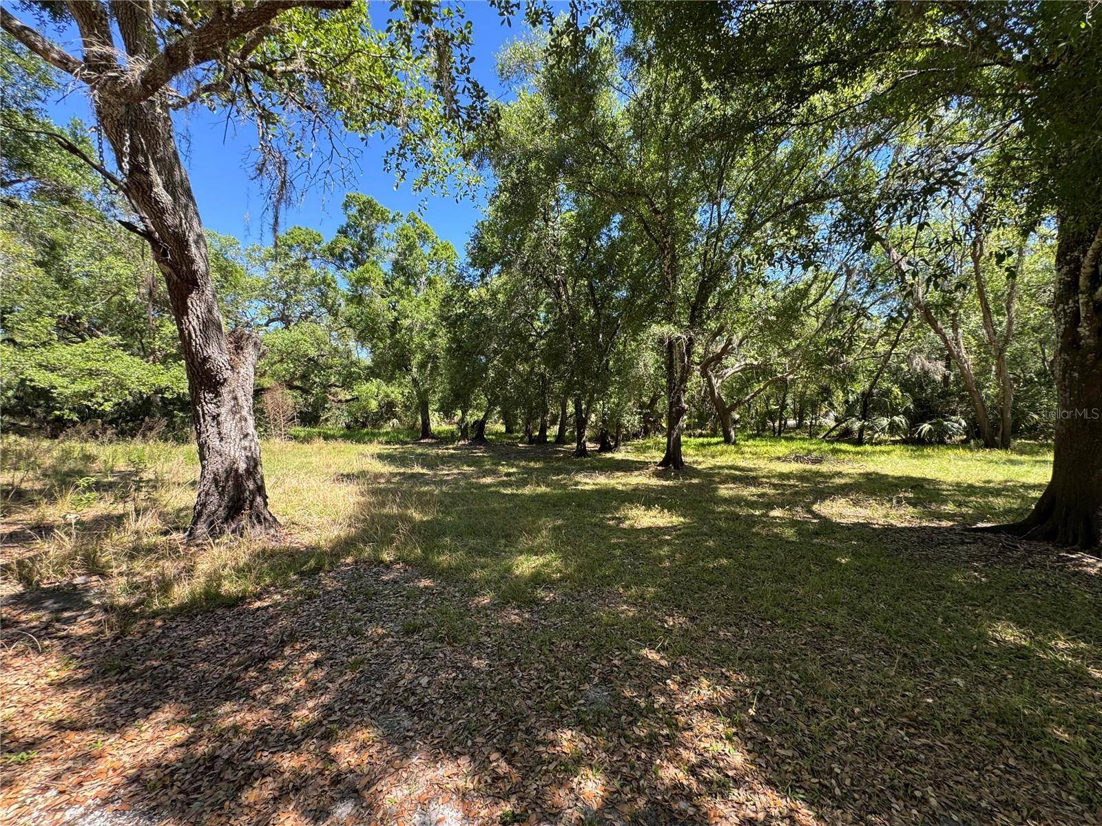 Arcadia, FL 34266,1284 NE RIVER MILL DR