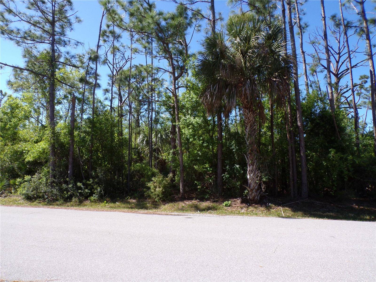 Punta Gorda, FL 33955,11383 10TH AVE