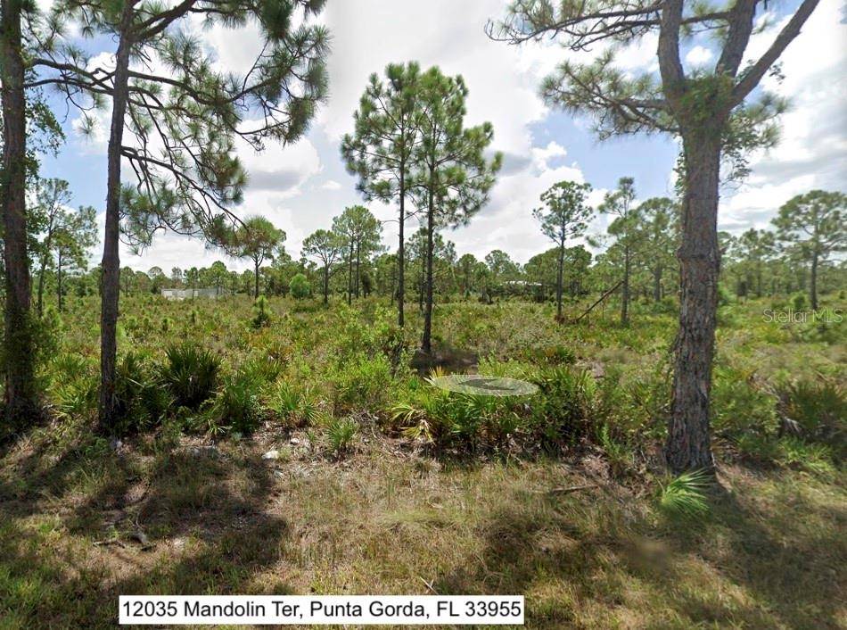 Punta Gorda, FL 33955,12035 MANDOLIN TER