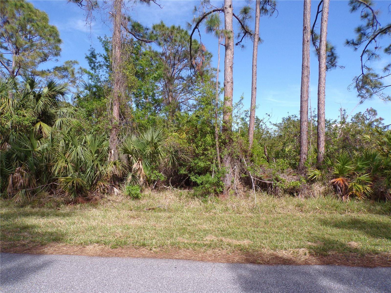 Port Charlotte, FL 33981,3142 CALLISTO ST