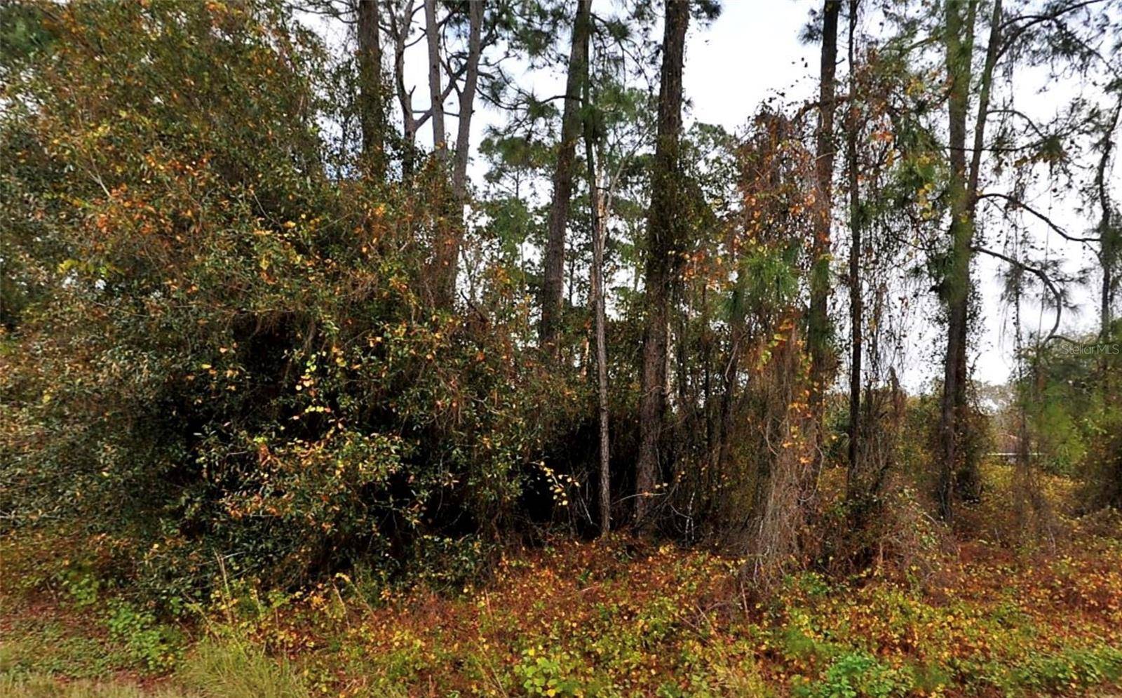 North Port, FL 34291,Lot 18 SENATE AVE