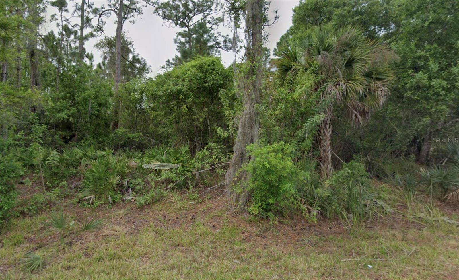 Punta Gorda, FL 33980,23477 ROSCOE AVE