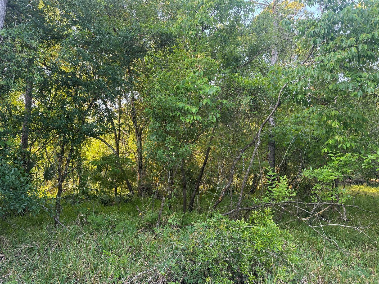 Arcadia, FL 34266,1297 NE RIVER RAFT DR