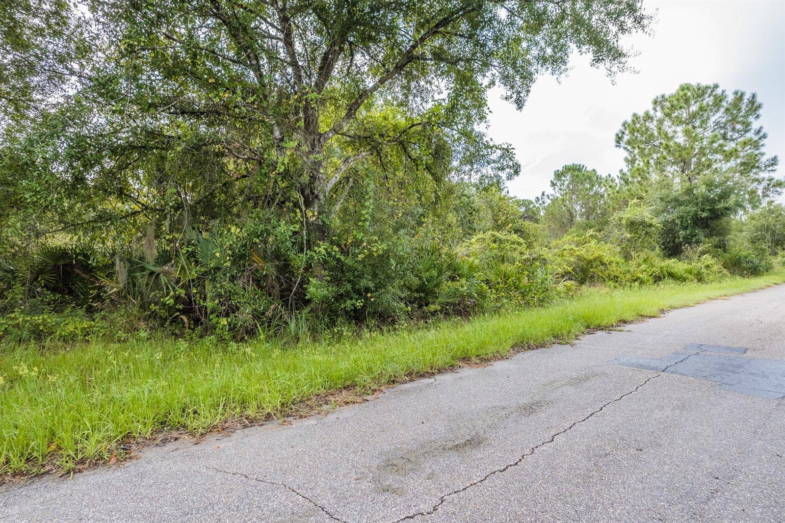 Port Charlotte, FL 33954,18134 DILLON AVE