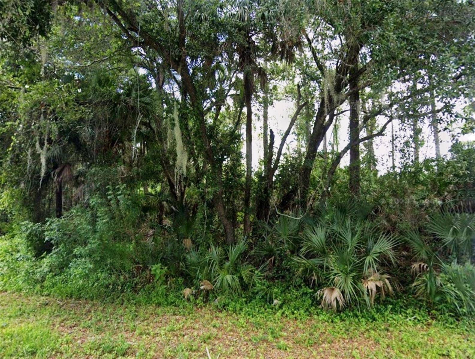 Port Charlotte, FL 33954,17172 & 17180 RUSSELL AVE