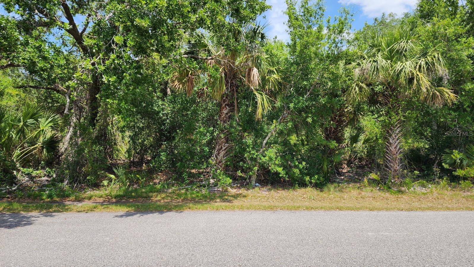 North Port, FL 34288,Lot 24 LANAI AVE