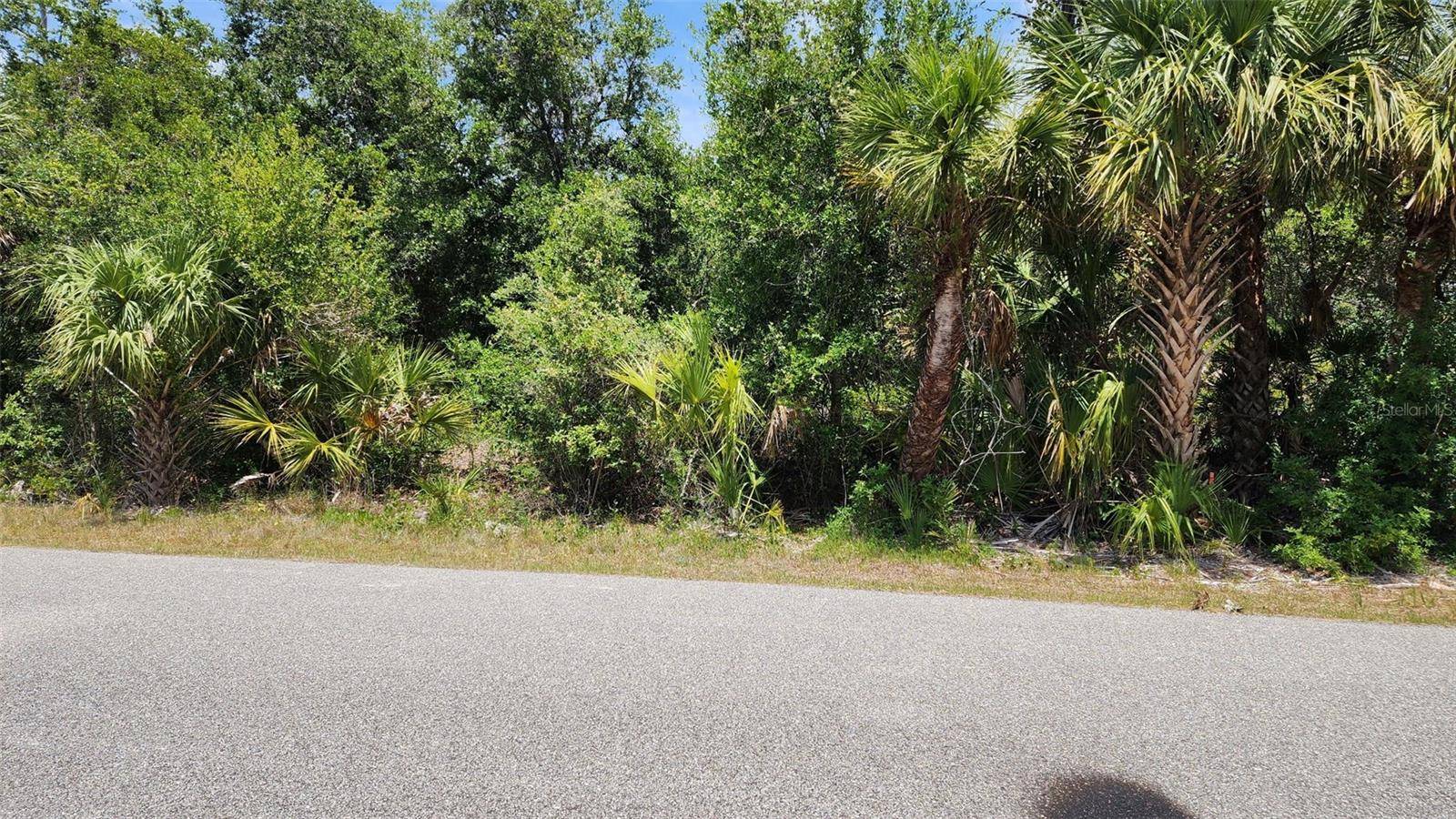North Port, FL 34288,Lot 25 LANAI AVE