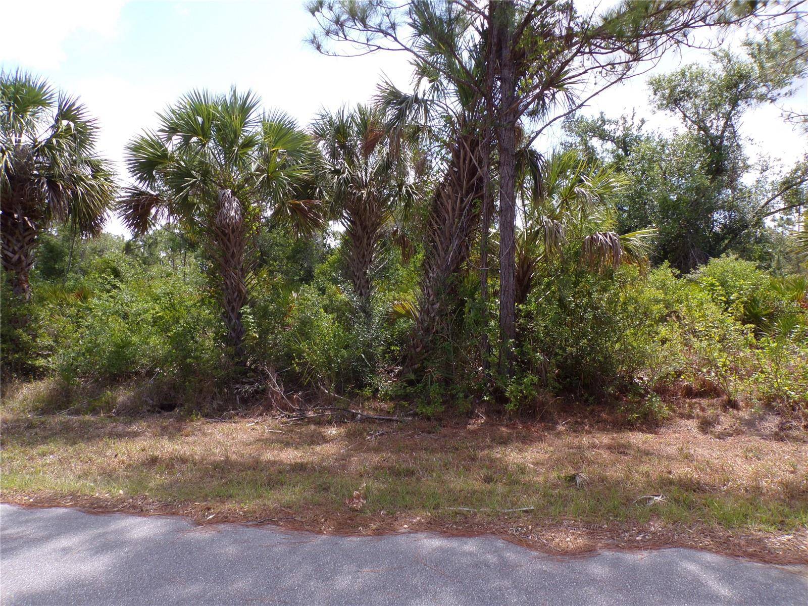 Port Charlotte, FL 33953,2300 REMAGEN ST