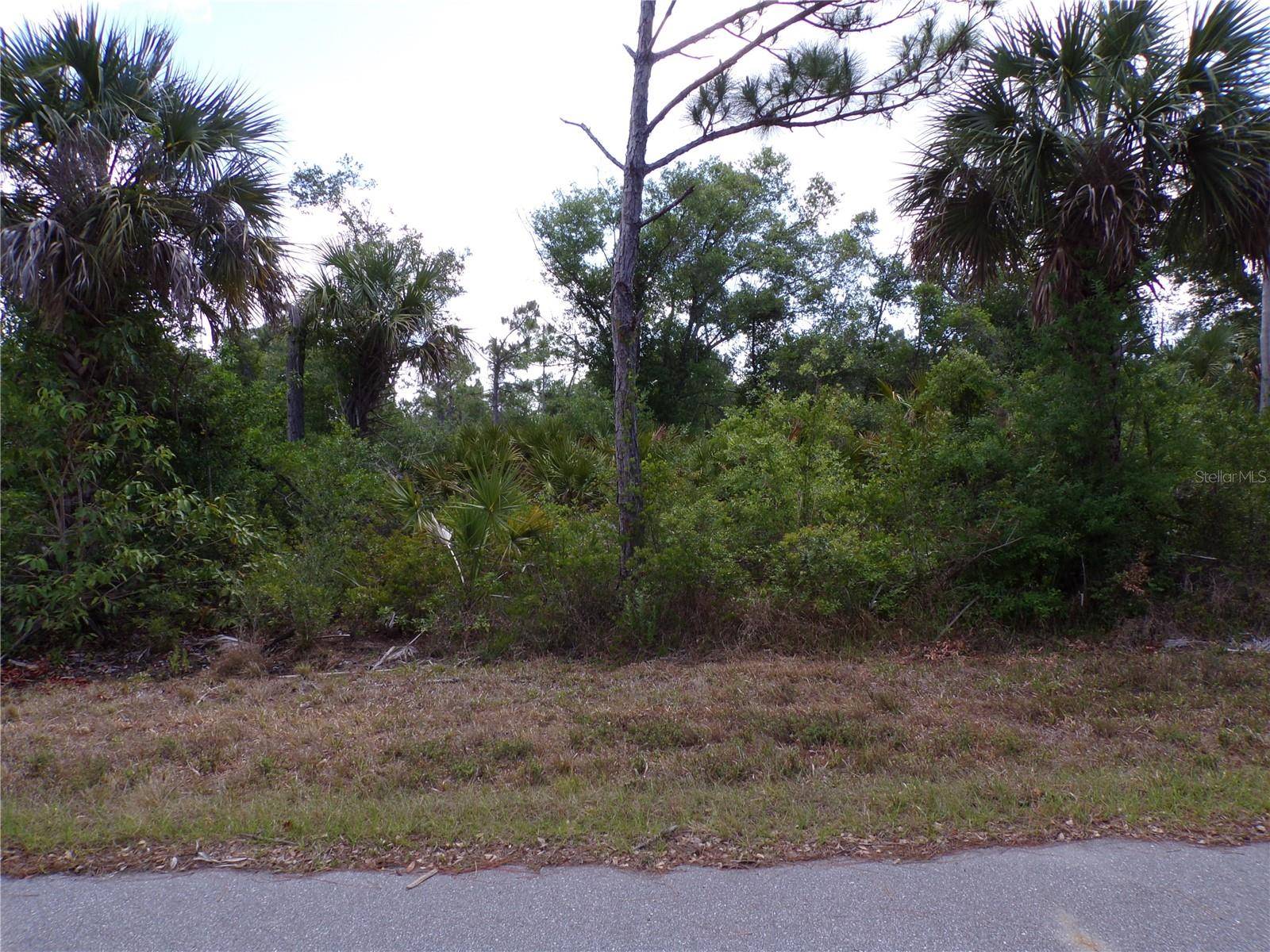 Port Charlotte, FL 33953,2300 REMAGEN ST