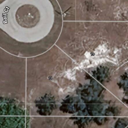 Placida, FL 33946,13 BAIL CT