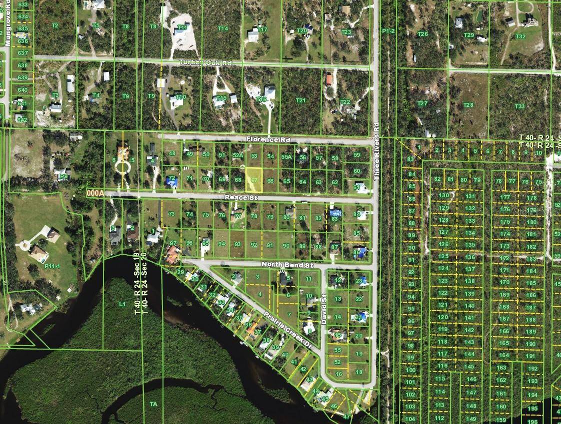 Punta Gorda, FL 33982,31072 PEACE ST