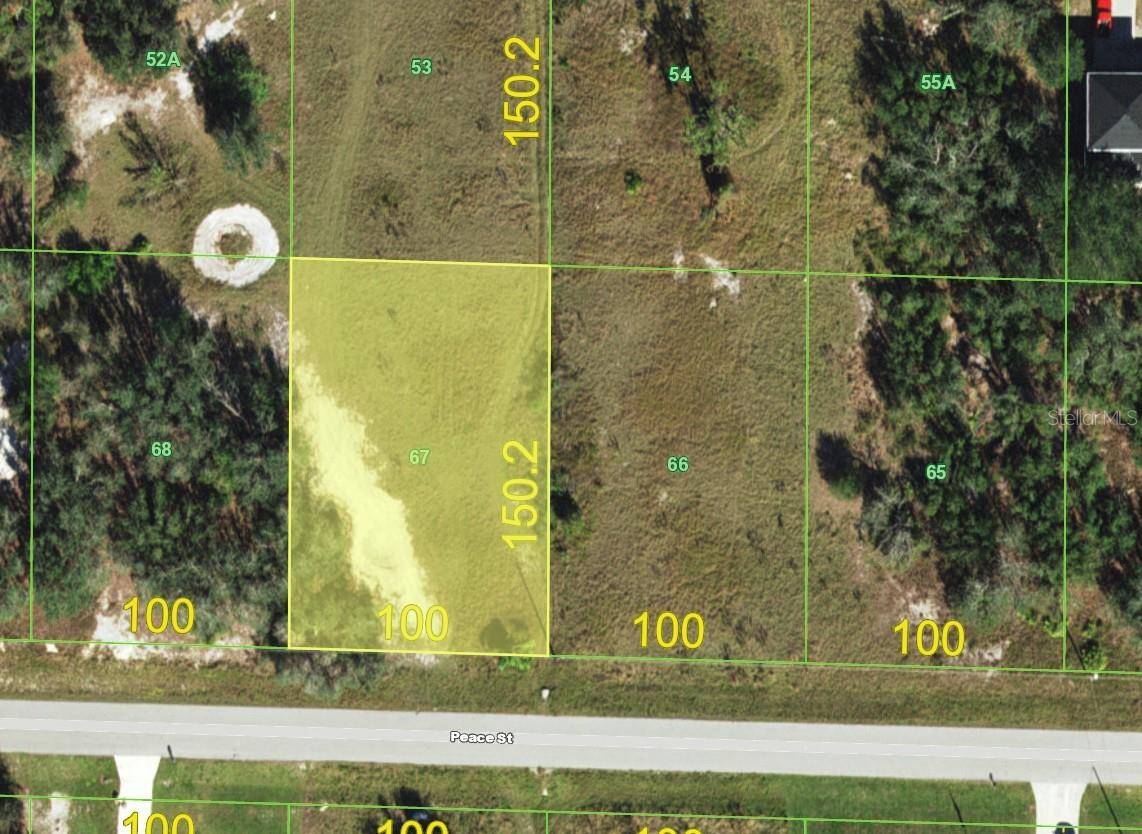 Punta Gorda, FL 33982,31072 PEACE ST