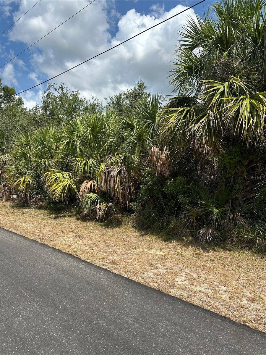 Port Charlotte, FL 33981,12006 GROUSE AVE