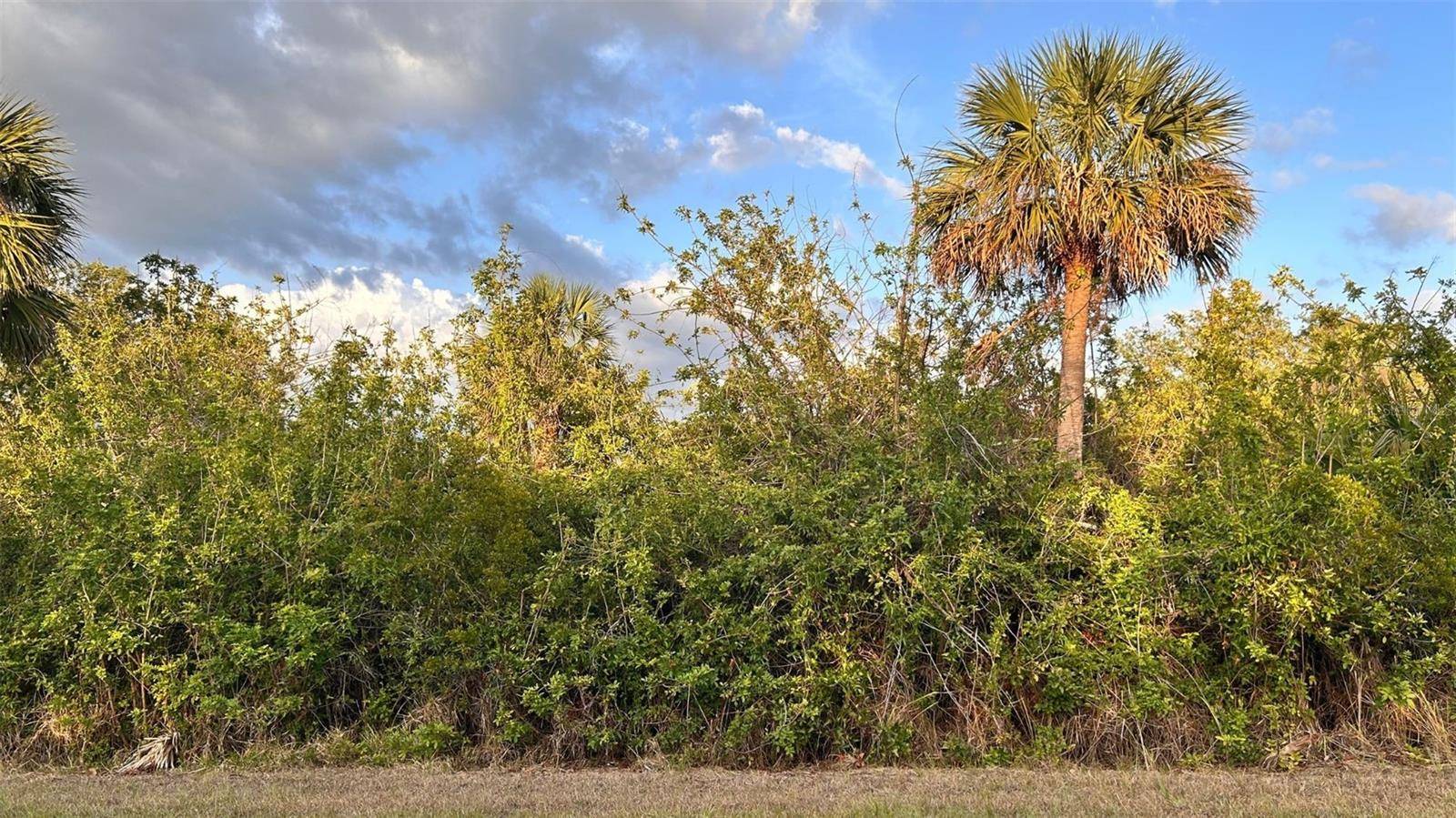 Port Charlotte, FL 33953,1264 FORRESTAL ST